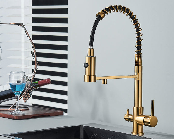 Gebürstetes Gold Küchenarmatur: Eleganter Wasserhahn mit Filterfunktion, Dualauslauf.