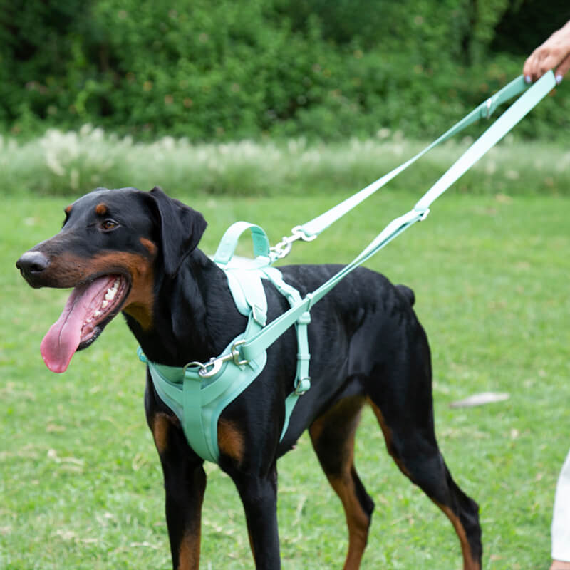 Zusammengelegtes, beerenblaues Hundegeschirr. Kompakt, robust & einfach zu verstauen. Praktisches Hundeaccessoire.