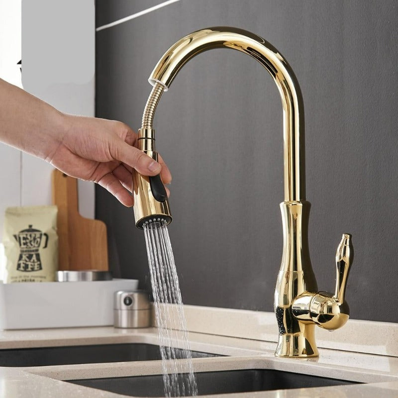 Flexible Küchenarmatur Anton mit ausziehbarem Brausekopf und versenkbarer Funktion, ideal für Ihre Küche.