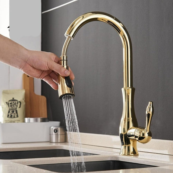 Flexible Küchenarmatur Anton mit ausziehbarem Brausekopf und versenkbarer Funktion, ideal für Ihre Küche.