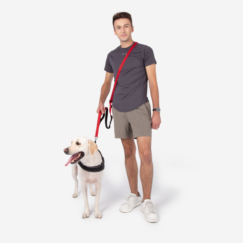 Komfortable Freisprech-Hundeleine für Haustiere, optimal für lange Spaziergänge und Trainingseinheiten.