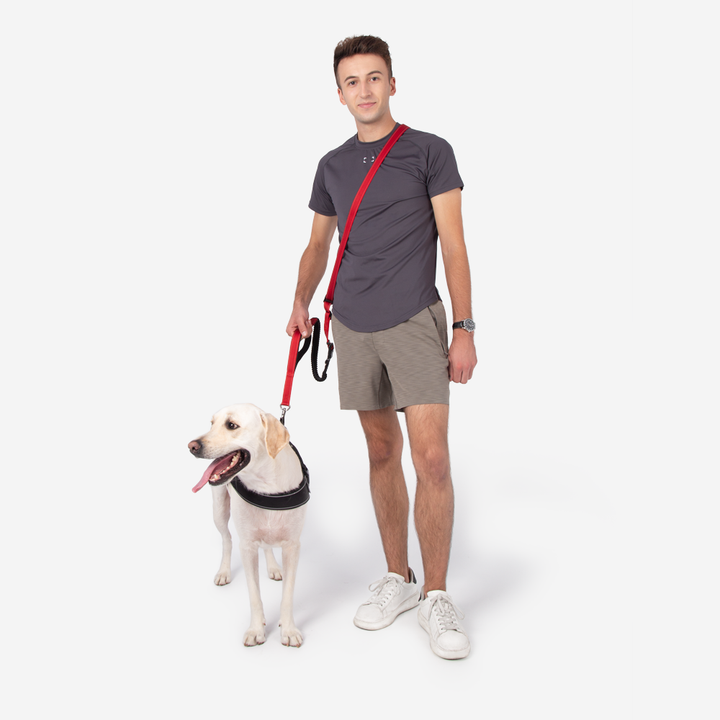 Komfortable Freisprech-Hundeleine für Haustiere, optimal für lange Spaziergänge und Trainingseinheiten.