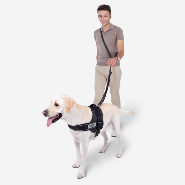 Freihändige Hundeleine für maximale Bewegungsfreiheit beim Spaziergang mit Ihrem Haustier und beim Joggen.
