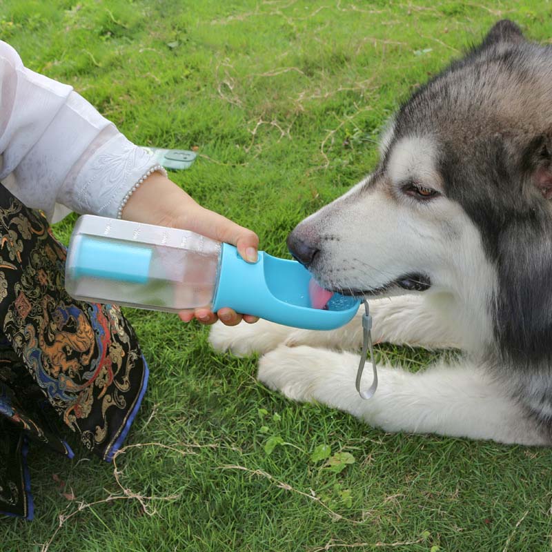 Handliche Hunde-Reisetrinkflasche mit Wasserfach, Futterkammer & Kotbeutel. Für alle Outdoor-Abenteuer.