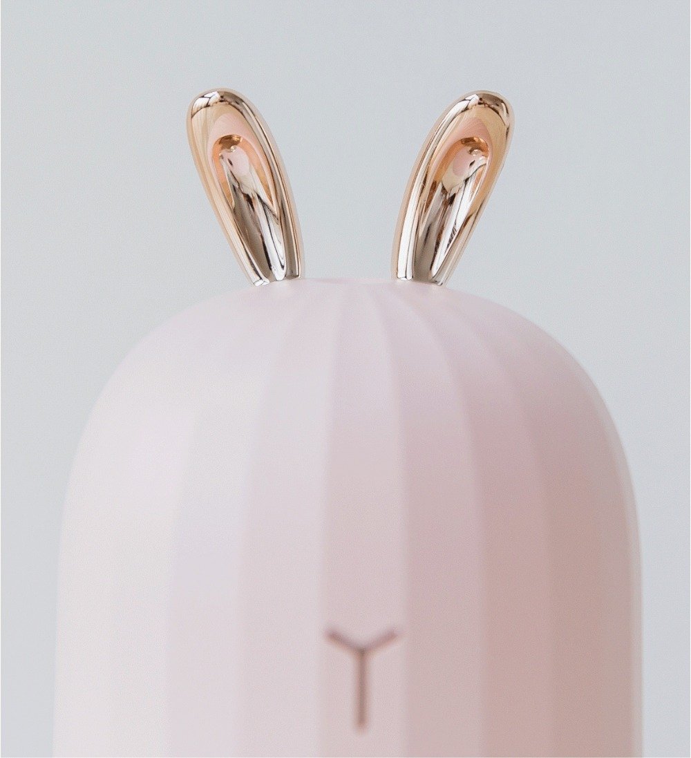 Dekorativer Aroma Diffusor mit Stimmungslicht, 220ml Tank, schafft angenehmen Raumduft.