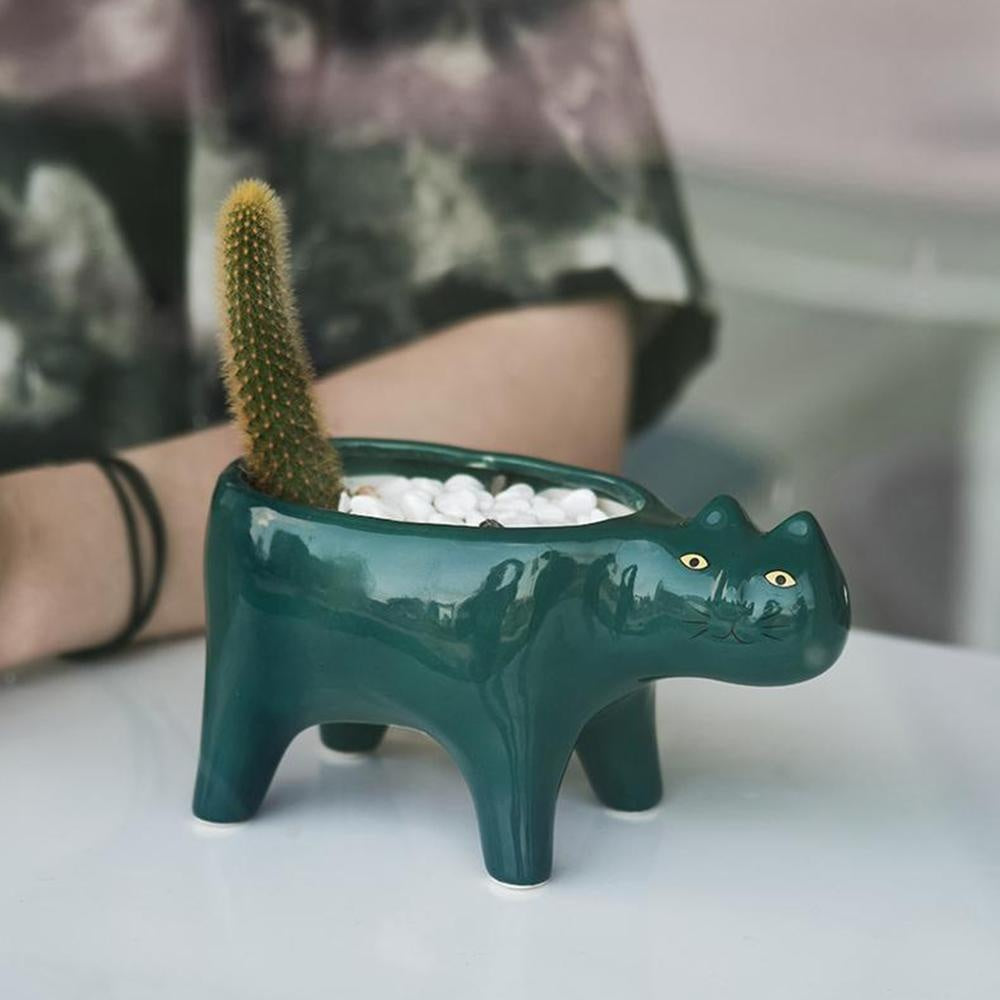 Dekorativer Keramik Blumentopf Katze, ideal für Kräuter, Sukkulenten oder Kakteen.