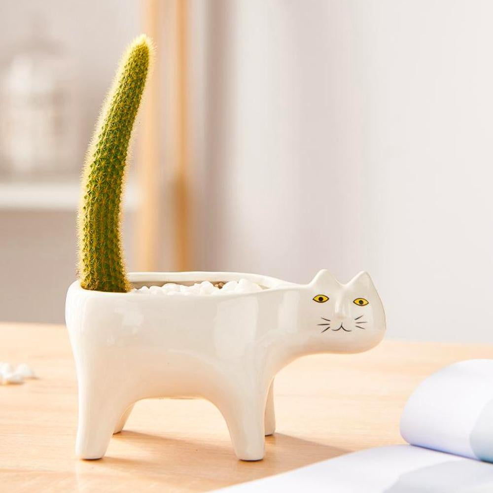 Einzigartiger Katzen-Blumentopf aus weißer Keramik, süße Gartendeko oder Zimmerdeko.