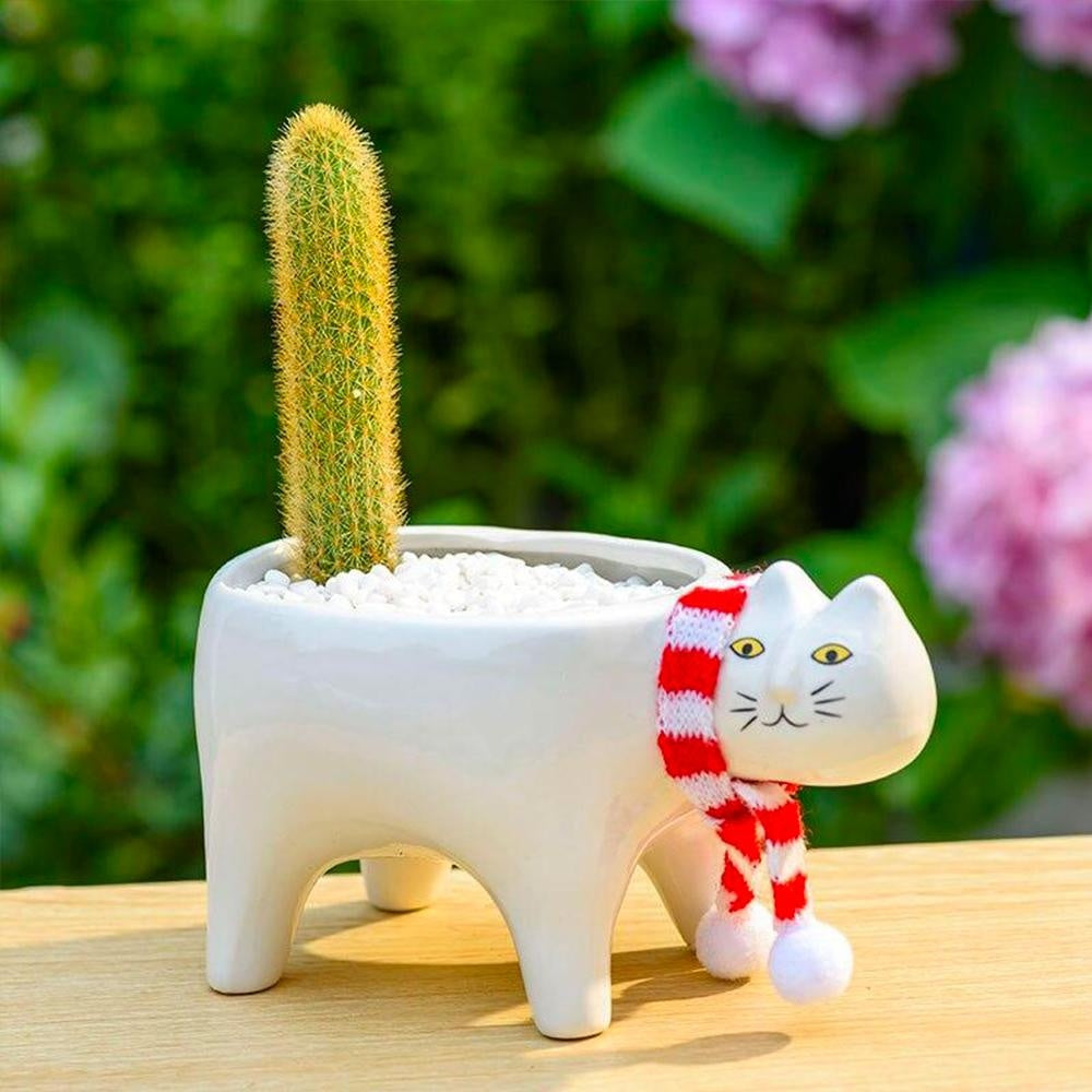 Weißer Keramik Blumentopf in Katzenform, ideal für kleine Pflanzen und Sukkulenten.