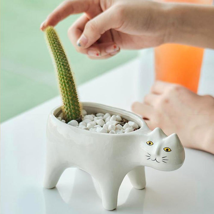Tierischer Keramik Blumentopf Katze, charmantes Pflanzgefäß für kleine Gewächse.
