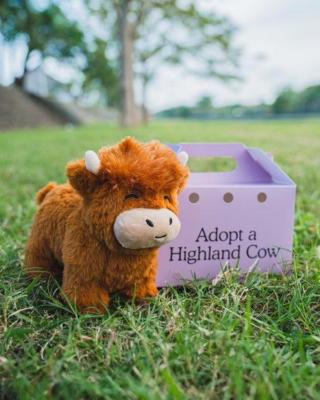Detailreiches, weiches Highland Kuh Plüschtier mit Hörnern. Ideal als Deko & Spielzeug für kleine Tierfreunde.