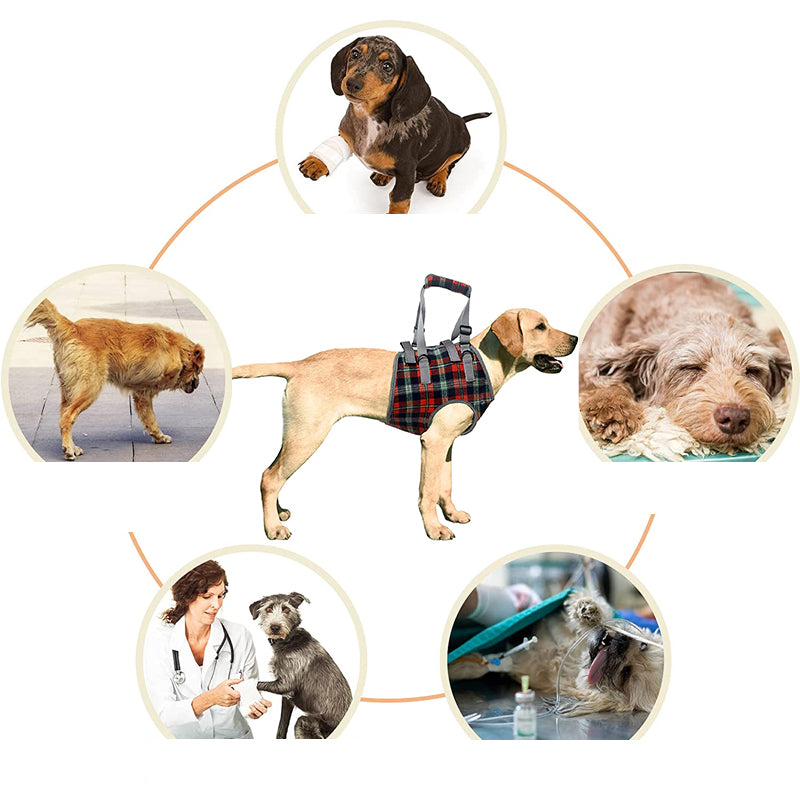 Hochwertiger orthopädischer Hundegurt, Mobilitätshilfe für Vorder- & Hinterbeine bei Gelenkproblemen.