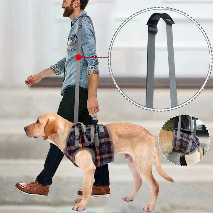 Ergonomischer Hundegurt: Mobilitätshilfe für Hunde, stabilisiert Vorder- und Hinterbeine bei Gelenkproblemen.