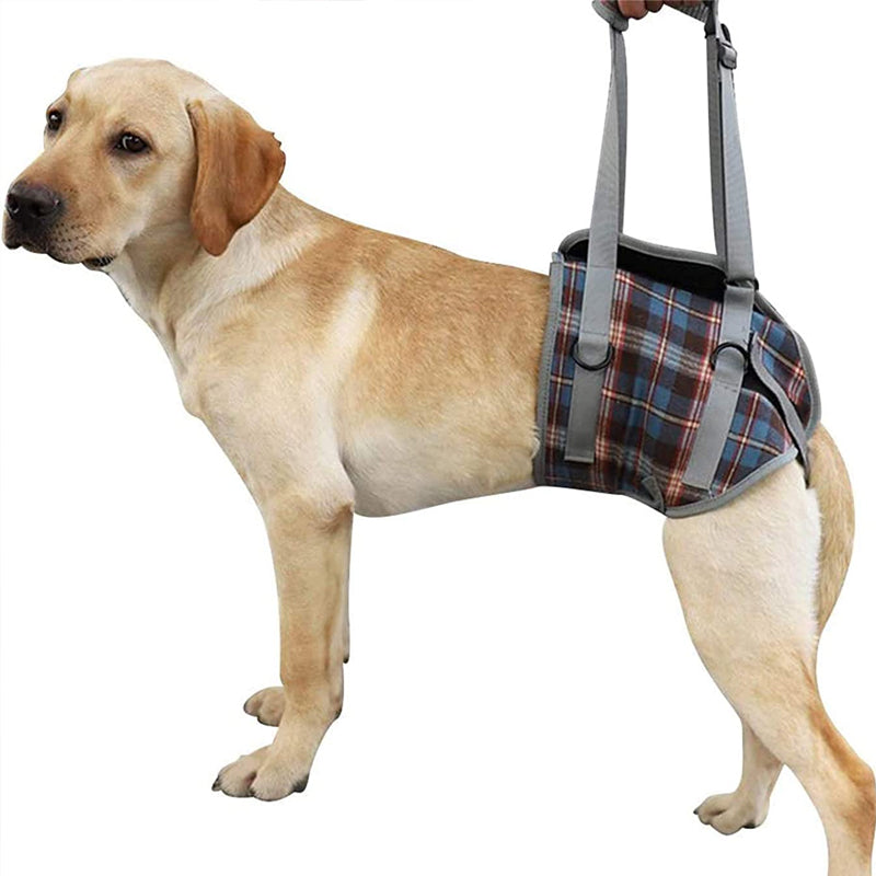 Tierzubehör: Orthopädisches Hundegeschirr, Unterstützung für Vorder- & Hinterbeine, ideal zur Rehabilitation.