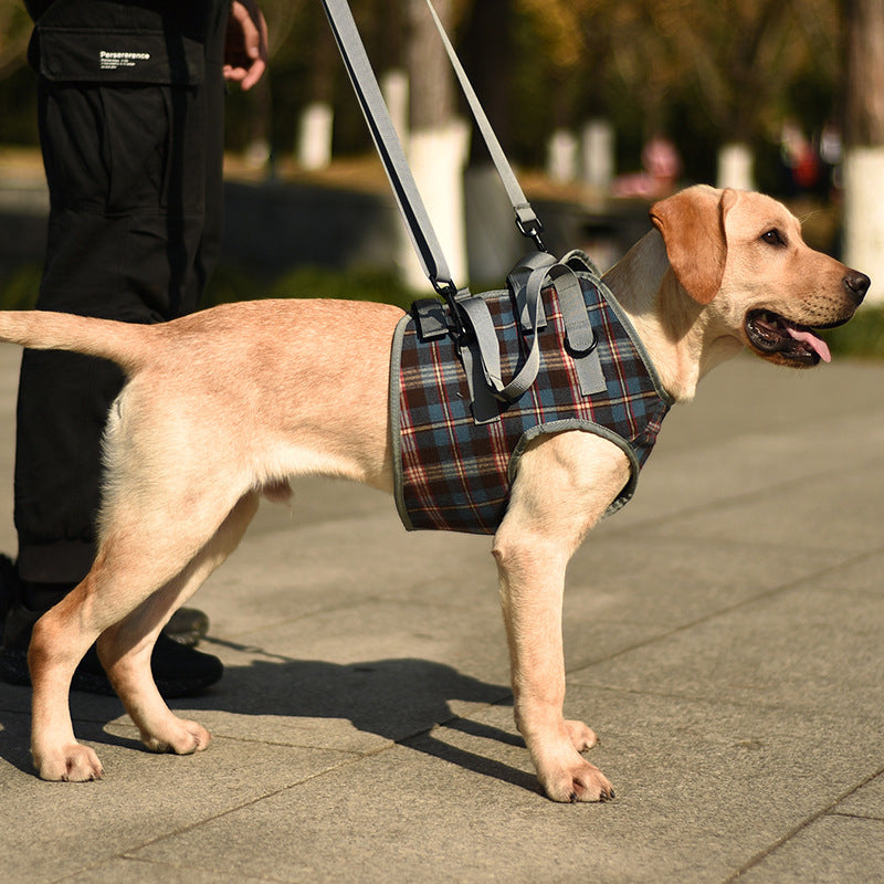 Orthopädischer Gurt für Hunde: Verbessert Mobilität, speziell für Vorder- und Hinterbeine bei Gelenkproblemen.