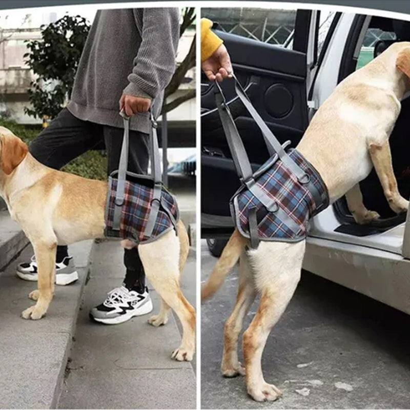 Hundegeschirr Stützgurt zur Rehabilitation, hilft Hunden bei Gelenkproblemen und Mobilität.