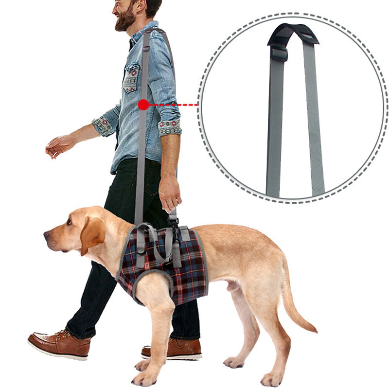 Mobilitätshilfe für Haustiere: Orthopädischer Hundegurt, ideal für Gelenkprobleme an Vorder- & Hinterbeinen.