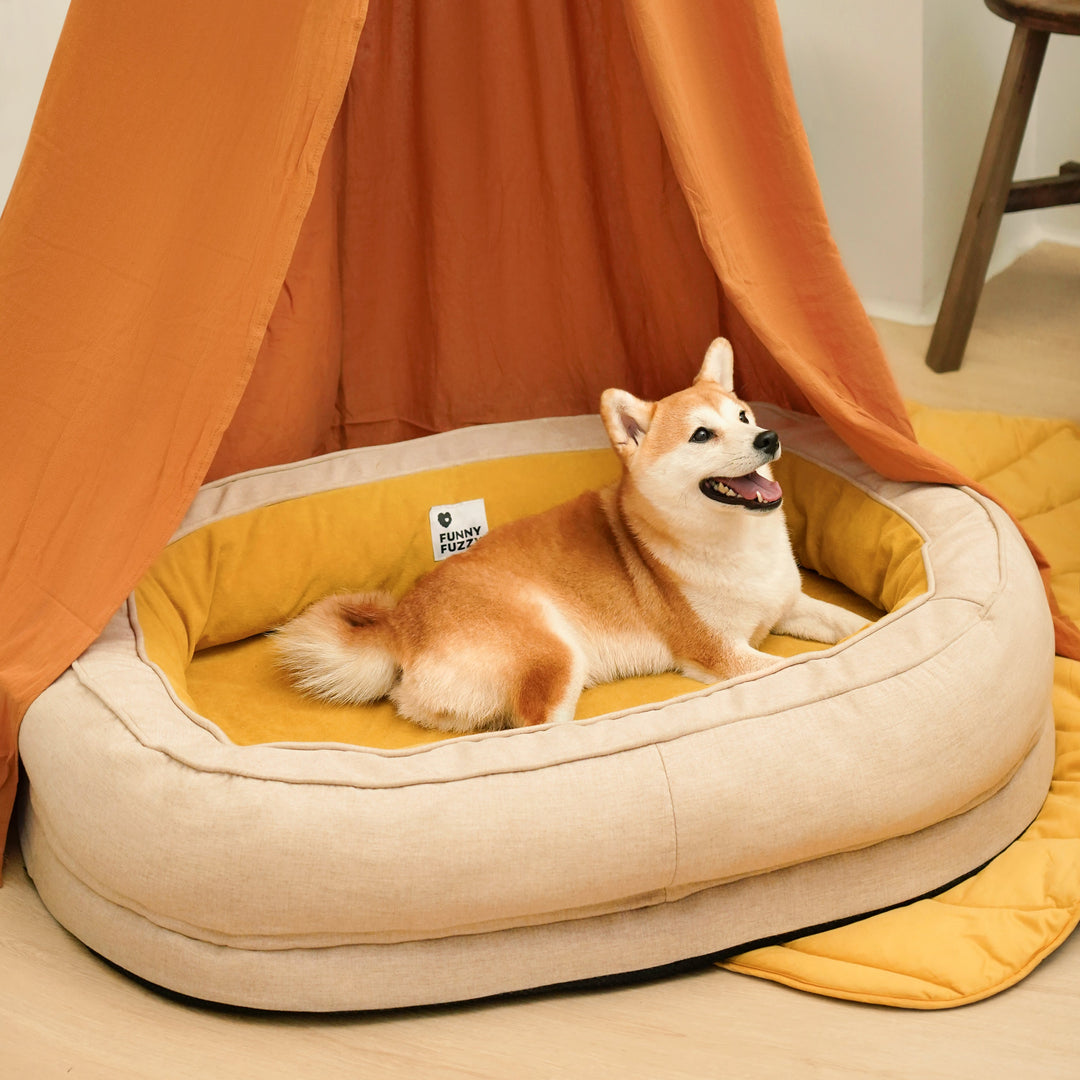 Orthopädisches Donut-Hundebett für Tiefschlaf & Gelenkschutz, weich & gemütlich.