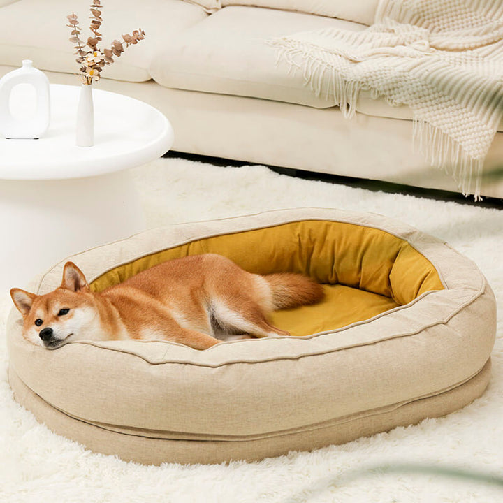 Großer Hund ruht entspannt in seinem orthopädischen Donut-Hundebett, Gelenkschutz.