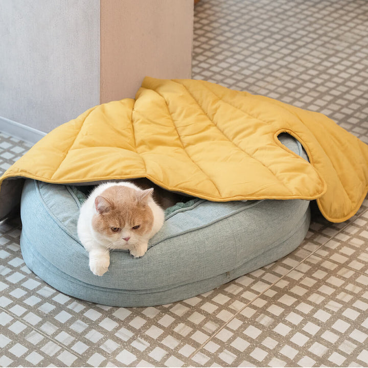 Hochwertiges orthopädisches Donut Hundebett, fördert erholsamen Schlaf & Tierwohl.