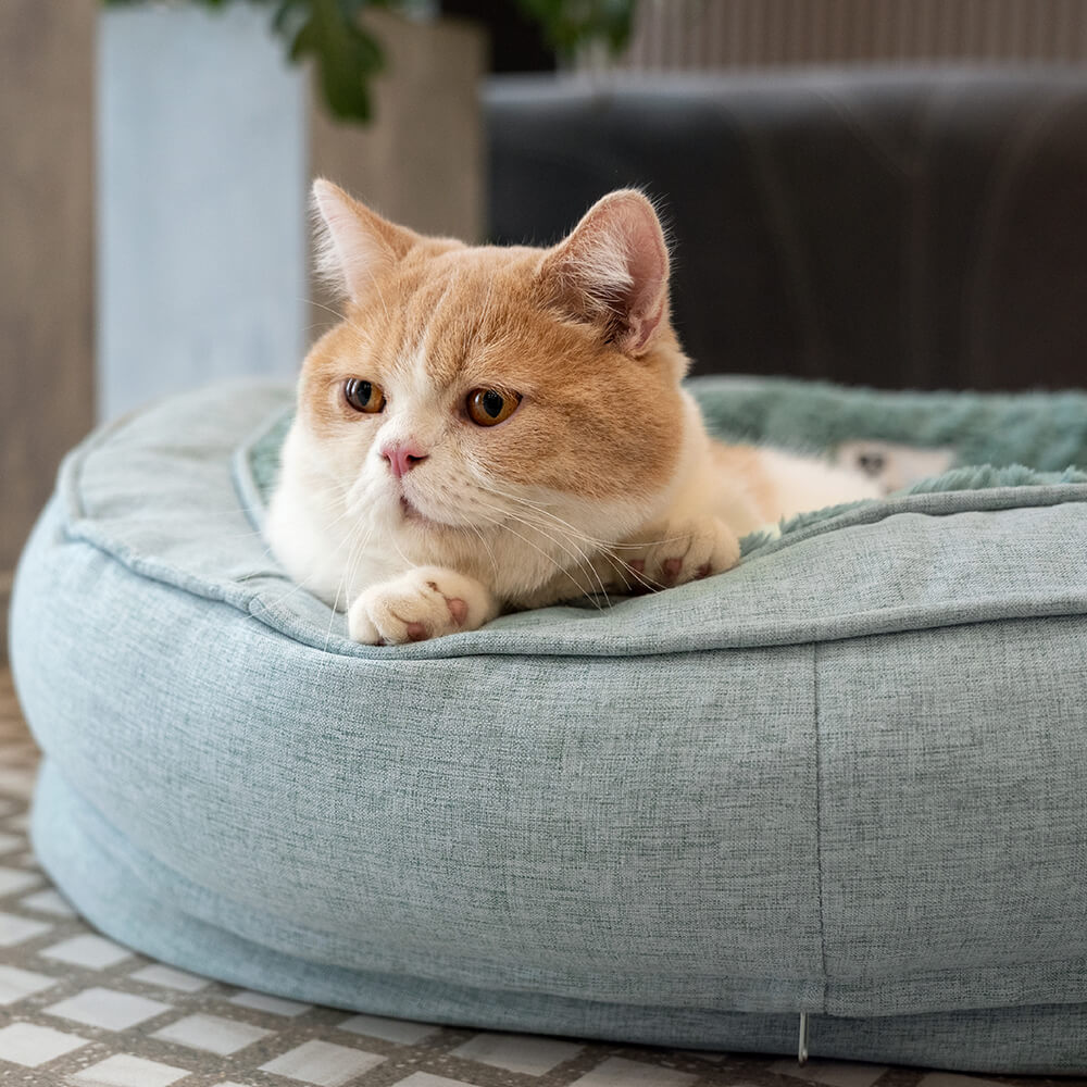 Modernes orthopädisches Donut Hundebett, passt in jedes Zuhause, für besten Komfort.