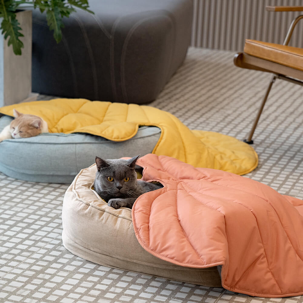 Dein Hund genießt sein neues, superweiches orthopädisches Donut Hundebett.