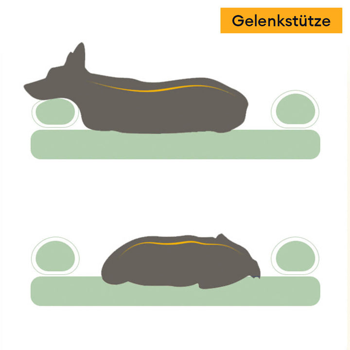 Ein Hund schläft gemütlich im grauen, waschbaren orthopädischen Eckbett.