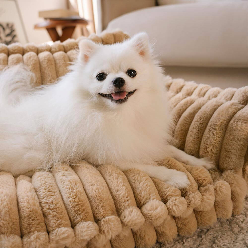 Waschbares orthopädisches Hundebett, groß, weich für gesunde Gelenke & Erholung.