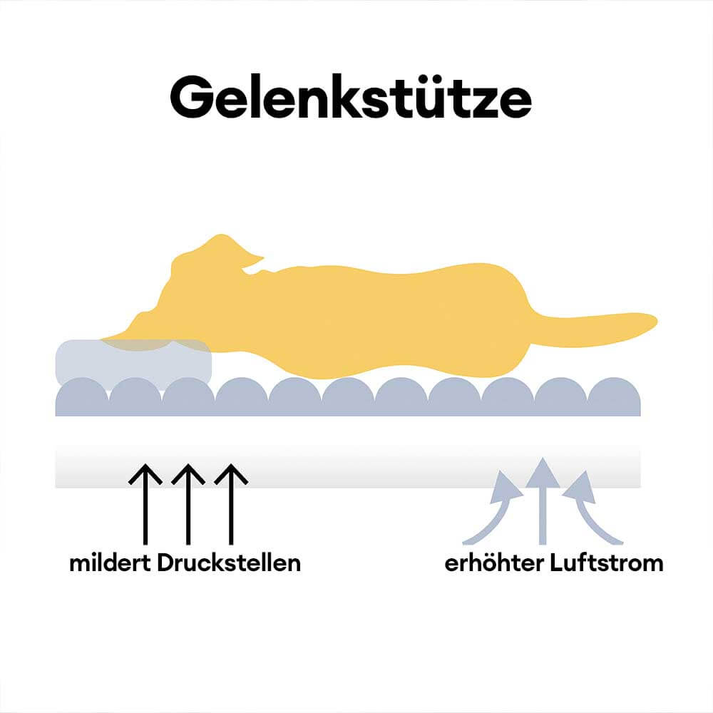 Großes, bequemes Hundebett Snoozy Dream; orthopädisch, weich und waschbar.