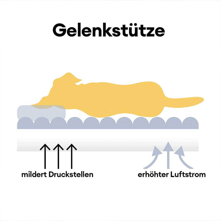 Großes, bequemes Hundebett Snoozy Dream; orthopädisch, weich und waschbar.