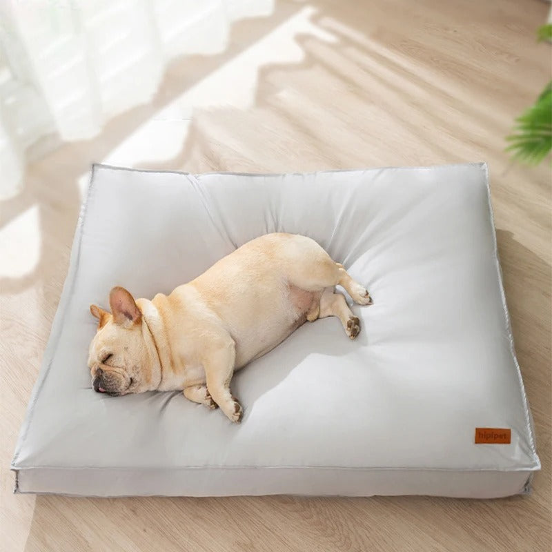 Orthopädisches FlexiRest Hundekissen mit Memory-Schaum, wasserdicht & kratzfest für optimalen Komfort.
