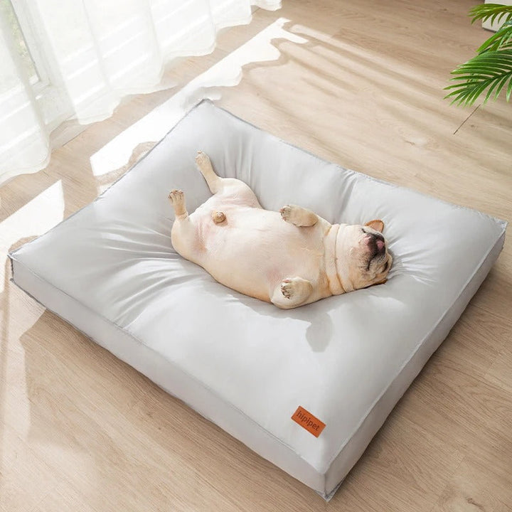 Wasserdichtes Hundekissen FlexiRest schützt vor Flüssigkeiten; pflegeleicht & waschbar für hygienischen Schlafplatz.