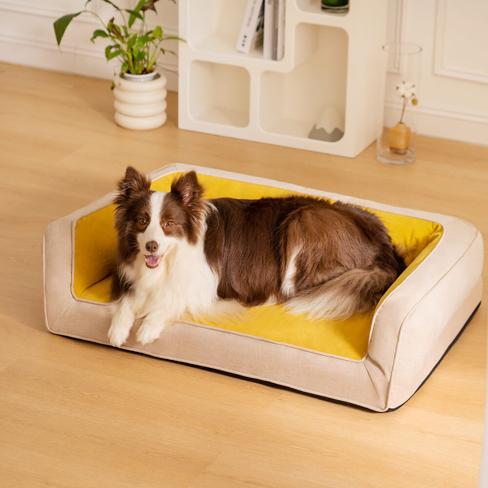 Gelenkschonendes Haustierbett für Hunde, orthopädisch, weich und langlebig.