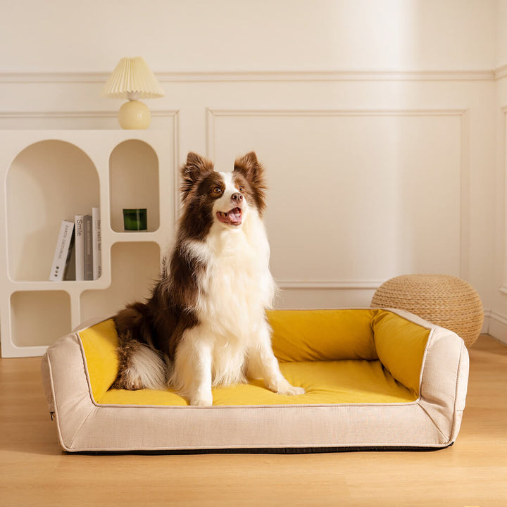 Orthopädisches Komfort-Hundebett, wasserabweisend, abnehmbarer Bezug, gelenkschonend.