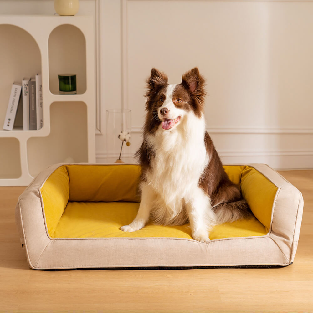 Weiches orthopädisches Haustierbett, waschbar, bietet Komfort & Gelenkentlastung für Hunde.