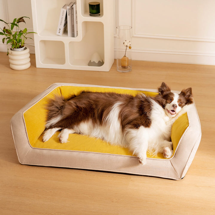 Hundebett für große Hunde, orthopädisch und gelenkschonend, mit weicher Liegefläche.