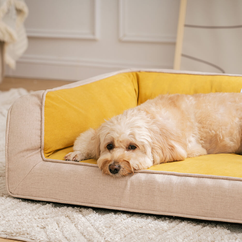 Komfortables Hundebett, orthopädisch und robust, bietet Entspannung und Gelenkschutz.
