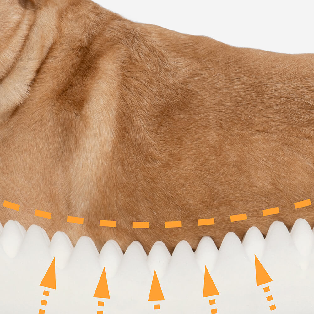 Komfortables Hundebett Ginkgo Gelb, orthopädisch für Gelenke, weicher Schlafplatz.