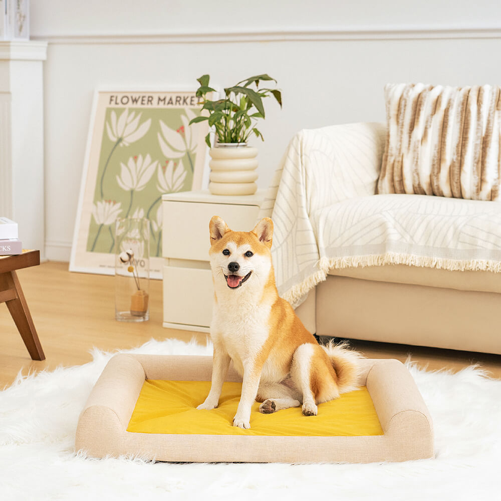 Gelenkentlastendes Hundebett, waschbar und sehr komfortabel, idealer Schlafplatz.