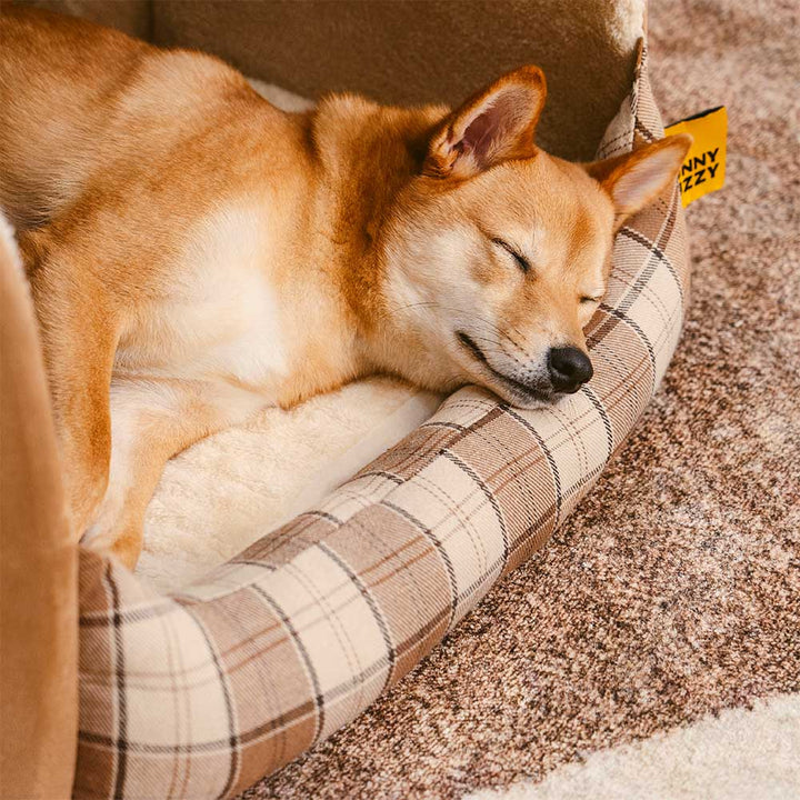 Orthopädisches Hundebett (Größe M) für mittelgroße Hunde, pflegeleicht und waschbar.