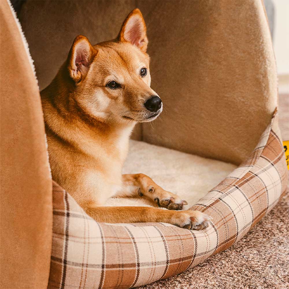 Orthopädisches Hundebett Größe S in Schwarz, optimaler Schlafplatz für kleine Hunde.