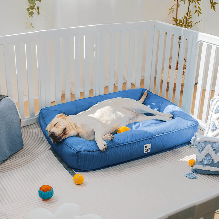 Luxuriöses orthopädisches Hundebett für große Hunderassen. Wasserabweisend, höchster Komfort und Gelenkschutz.