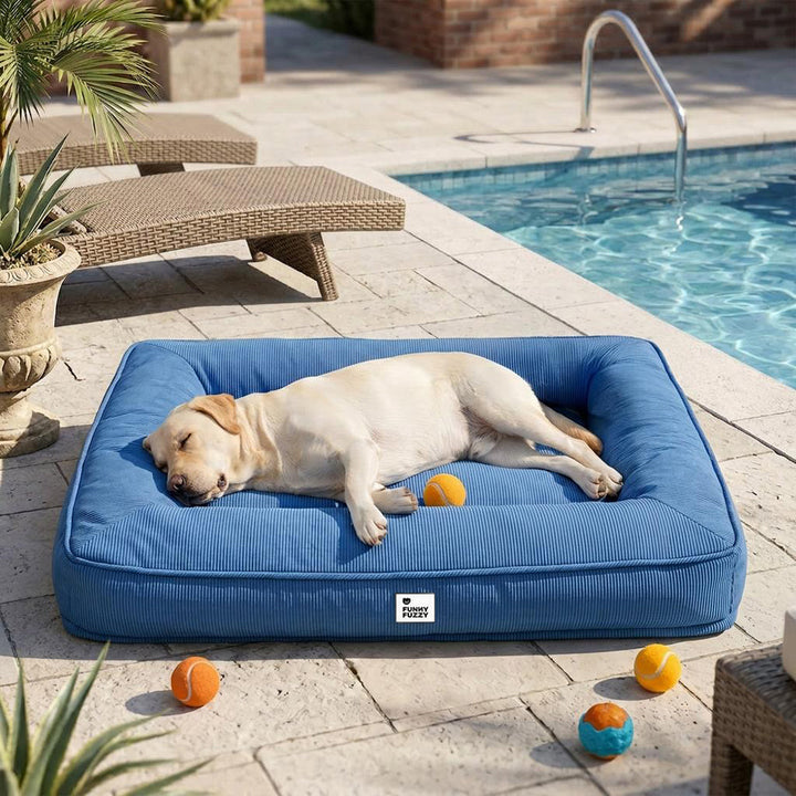 Funktionales orthopädisches Hundebett, groß & wasserabweisend. Bietet bequemen Schlafplatz für alle großen Haustiere.