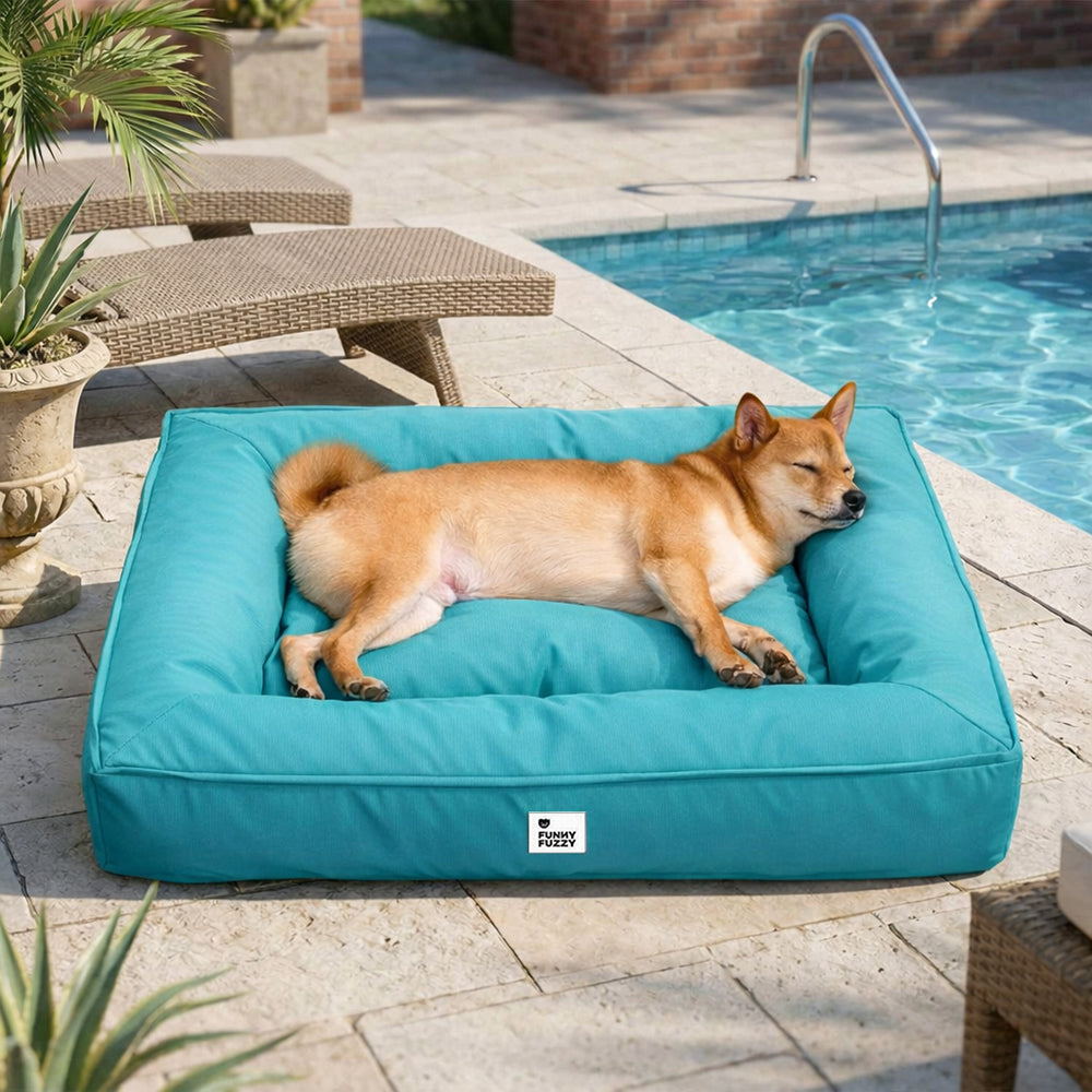 Pflegeleichtes orthopädisches Hundebett für große Hunde. Wasserabweisend, waschbar und besonders komfortabel.