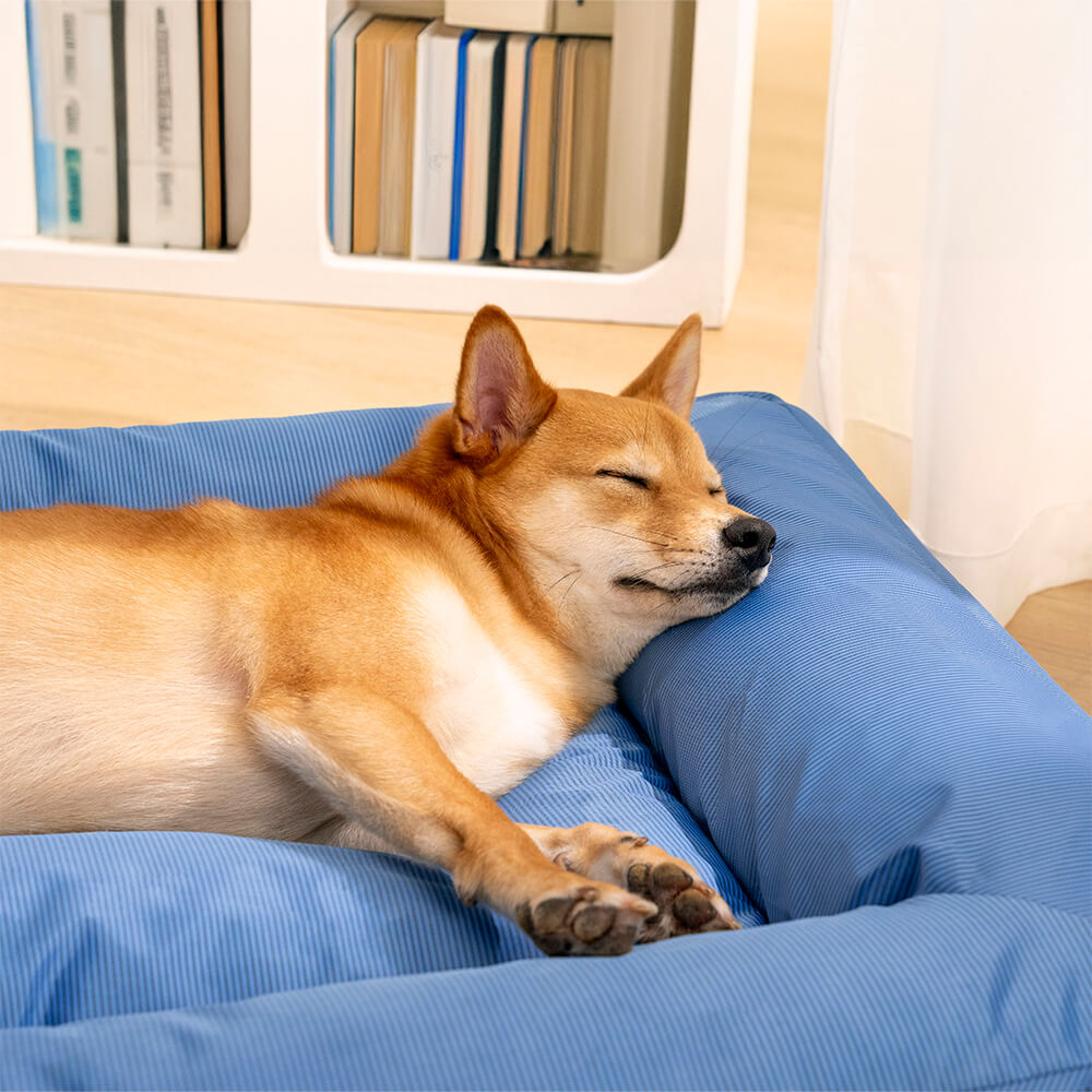 Komfortables orthopädisches Hundebett für große, ältere Hunde, wasserabweisend & entlastet beanspruchte Gelenke.