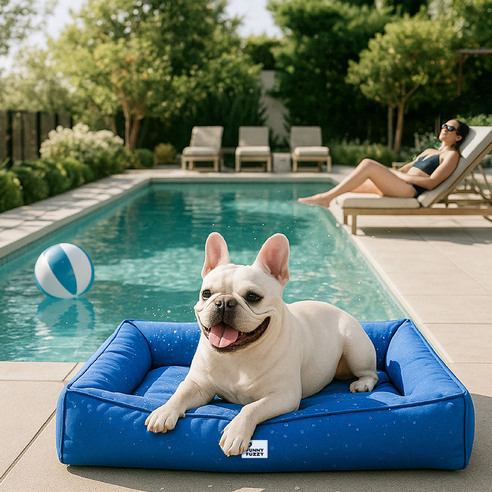 Modernes orthopädisches Hundebett für große Hunde, wasserfest, robust & fügt sich gut in jedes Zuhause ein.