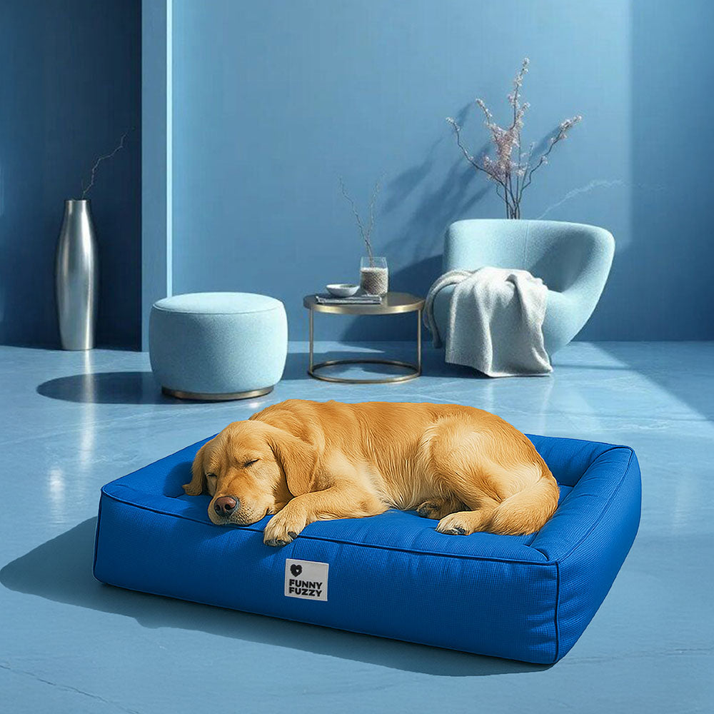 Ergonomisches orthopädisches Hundebett für große Hunde, wasserfest, reduziert Druckpunkte & ist atmungsaktiv.