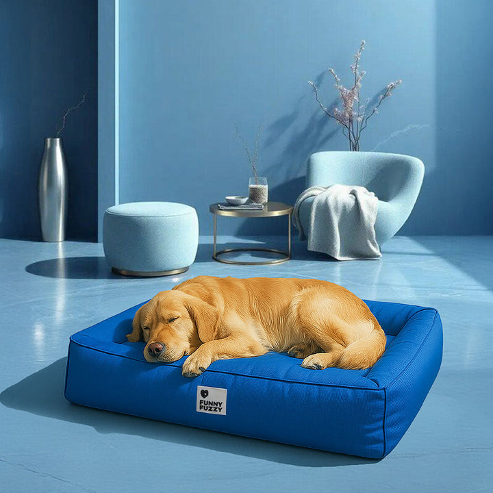 Ergonomisches orthopädisches Hundebett für große Hunde, wasserfest, reduziert Druckpunkte & ist atmungsaktiv.