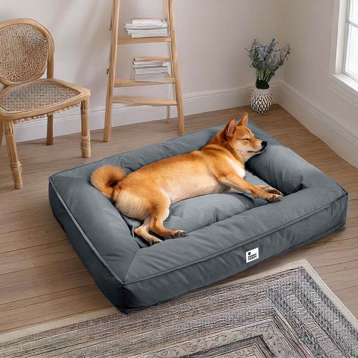 Gesundes orthopädisches Hundebett für große Hunde, wasserfest, ideal zur Regeneration und Erholung.