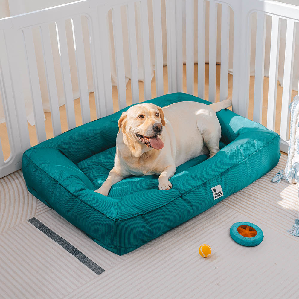 Großes orthopädisches Hundebett, wasserfest & stützend, perfekt für kräftige Hunderassen, bietet viel Platz.