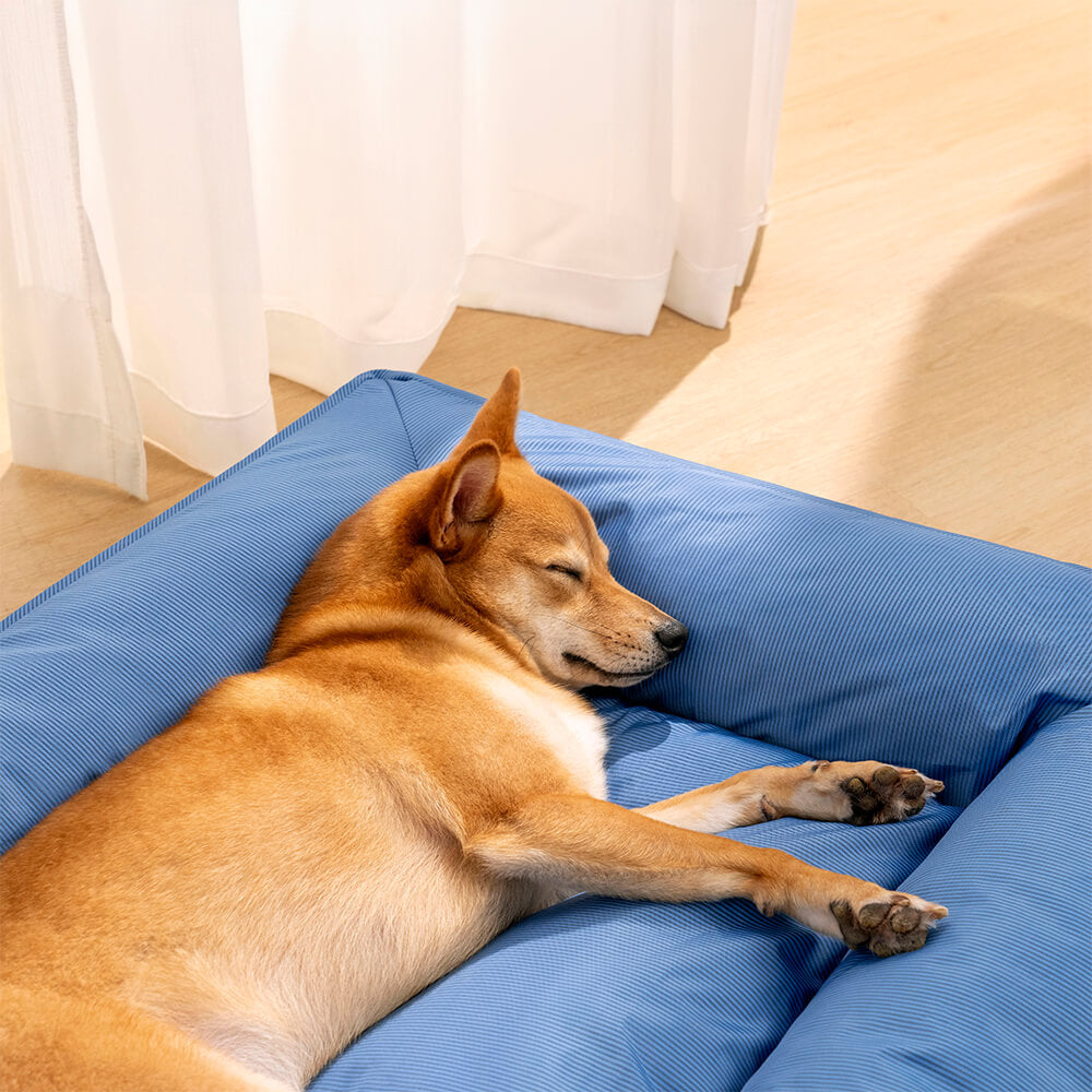Waschbares orthopädisches Hundebett für große Hunde, wasserabweisend & mit langlebigem, rutschfestem Boden.